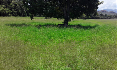 FINCA EN VENTA EN COTA