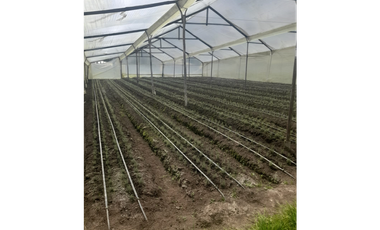 FINCA EN VENTA EN COTA