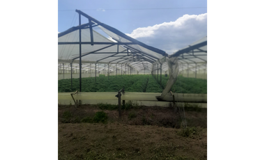 FINCA EN VENTA EN COTA