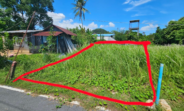Land for sale in Ratsada, Phuket