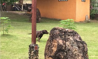 Se Vende  Terreno en Sajalices de 4200Mt2 (DR)