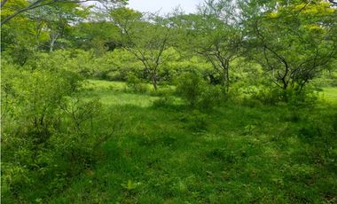 ESPLENDIDO RANCHO EN COL. CUAUHTÉMOC - VILLAFLORES