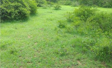 ESPLENDIDO RANCHO EN COL. CUAUHTÉMOC - VILLAFLORES