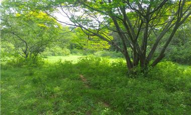 ESPLENDIDO RANCHO EN COL. CUAUHTÉMOC - VILLAFLORES
