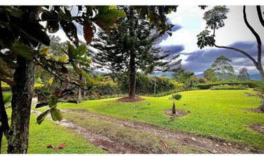 Venta Finca Lote Plano Parcelacion con Vista Bosque Quebrada La Ceja