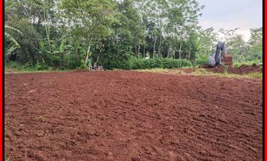 Kavling Dekat Kota Kajen Pekalongan, SHM Unit: Jalan 5 Meter