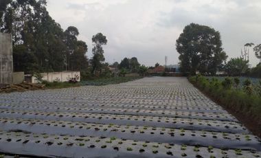 Tanah Siap Bangun 2000 m Dekat Pasar Lembang