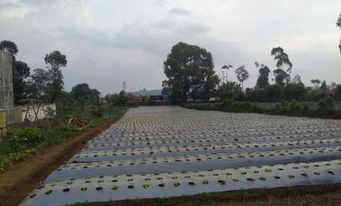 Tanah Siap Bangun 2000 m Dekat Pasar Lembang