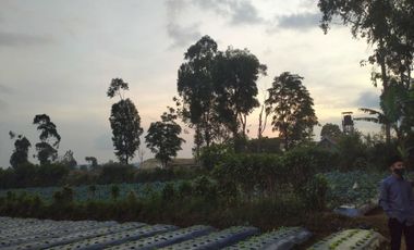 Tanah Siap Bangun 2000 m Dekat Pasar Lembang