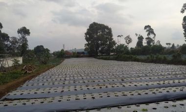Tanah Siap Bangun 2000 m Dekat Pasar Lembang