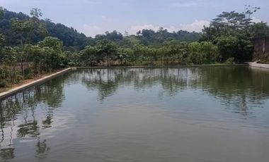 Dijual villa beserta 2 lokal kolam ikan luas tanah 1000m2 pedesaan sejuk Purwakarta