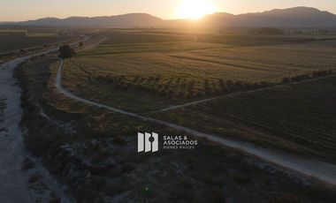 4.64HA. EXCLUSIVAS EN VALLE DE GUADALUPE