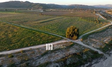 4.64HA. EXCLUSIVAS EN VALLE DE GUADALUPE