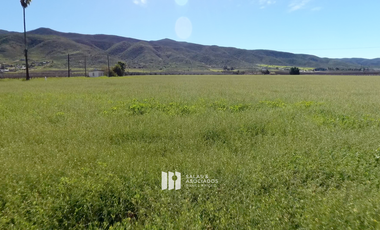 4.64HA. EXCLUSIVAS EN VALLE DE GUADALUPE