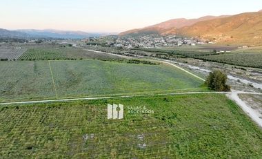 4.64HA. EXCLUSIVAS EN VALLE DE GUADALUPE