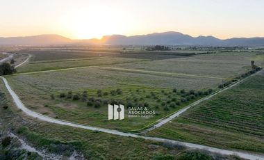 4.64HA. EXCLUSIVAS EN VALLE DE GUADALUPE