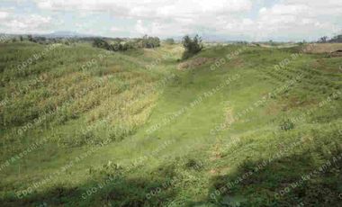325 Hectares Agricultural Land