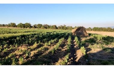 VENTA DE TERRENO CERCA DE VAL'QUIRICO