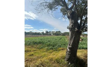 VENTA DE TERRENO CERCA DE VAL'QUIRICO