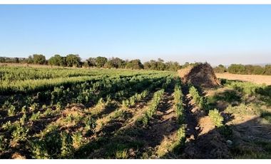 VENTA DE TERRENO CERCA DE VAL'QUIRICO
