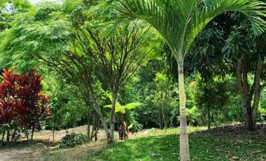 Venta Finca Vacacional con Casa  en Manabí, Cantón Flavio Alfaro (LC)