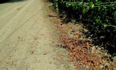 Venta Finca Vacacional con Casa  en Manabí, Cantón Flavio Alfaro (LC)