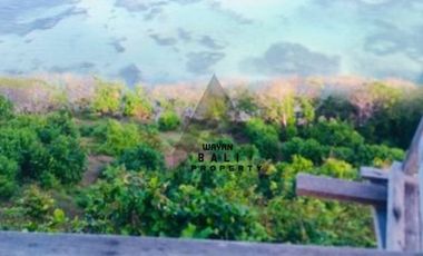 Beachfront Tanah 3.75 Hektar Pinggir Tebing Pantai Nusa Dua Bali