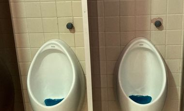 Renta Amplias y Bonitas Oficinas de Varios Tamaños en Col. El Parque Naucalpan