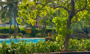 Apartemen Grand Tropic