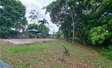 DAVID CENTRO, LOTE COMERCIAL