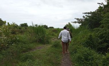 Tanah Tambak Murah Sambelia Lombok Timur