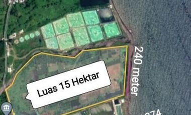 Tanah Tambak Murah Sambelia Lombok Timur