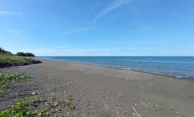 Tanah Tambak Murah Sambelia Lombok Timur