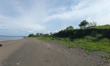 Tanah Tambak Murah Sambelia Lombok Timur