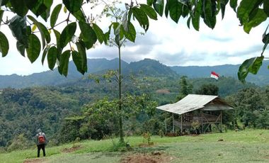 WOW Tanah Kavling Villa Konsep Perkebunan Terpadu di Bogor