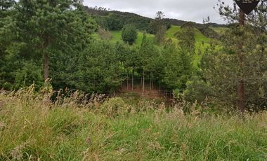 Terreno de venta en Tarqui Gullanzhapa – código:7799