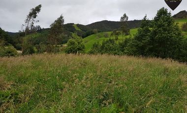 Terreno de venta en Tarqui Gullanzhapa – código:7799