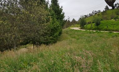 Terreno de venta en Tarqui Gullanzhapa – código:7799