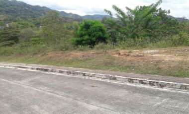 204 Sqm Overlooking Lot for Sale in Greenwoods near Talamban Cebu City
