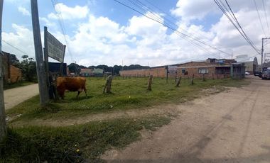 ARRIENDO de LOTES en TENJO