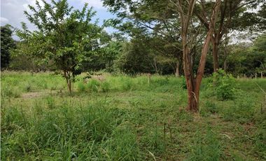 SE VENDE LOTE EN SOPETRAN