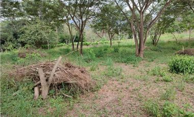 SE VENDE LOTE EN SOPETRAN