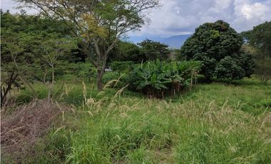 SE VENDE LOTE EN SOPETRAN