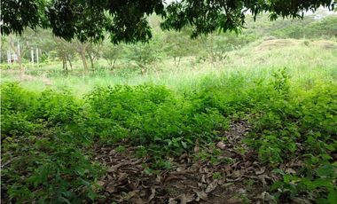 SE VENDE LOTE EN SOPETRAN