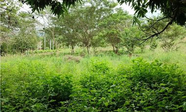SE VENDE LOTE EN SOPETRAN