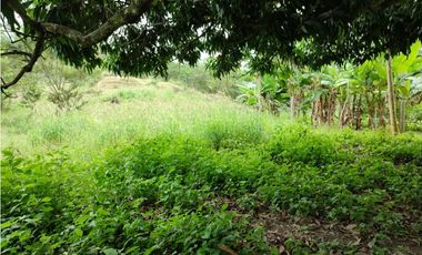 SE VENDE LOTE EN SOPETRAN