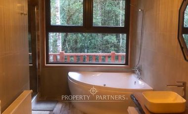 Acogedor refugio en el corazón del bosque Huilo Huilo