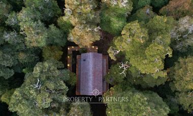 Acogedor refugio en el corazón del bosque Huilo Huilo