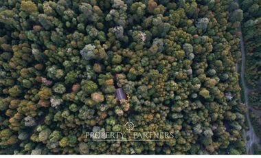 Acogedor refugio en el corazón del bosque Huilo Huilo