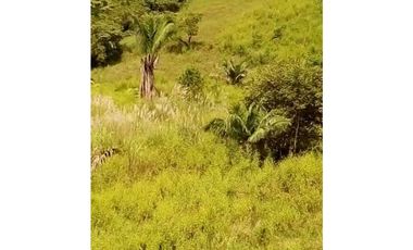 FINCA EN CHEPO CABECERA 78 HECTAREAS POR PUERTO COQUIRA TITULADA